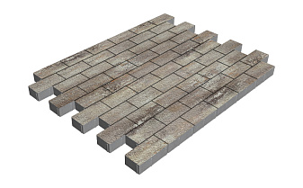 Плитка тротуарная SteinRus Прямоугольник Б.6.П.6, Native, Берилл, 200*100*60 мм