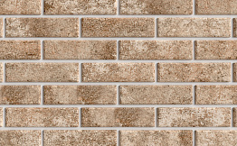 Клинкерная плитка под кирпич BestPoint Exclusive Hard Stone 245*65*12 мм