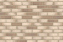 Клинкерная плитка под кирпич Feldhaus Klinker NF 14 R941 vario argo albula 240*71*14 мм