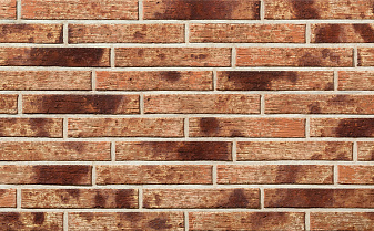 Кирпич облицовочный Plinfa Cassia 1311, 300*85*50 мм