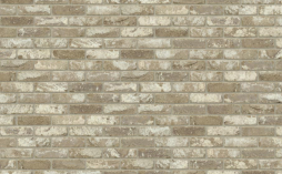 Плитка Nelissen ARES, 215*65*20 мм