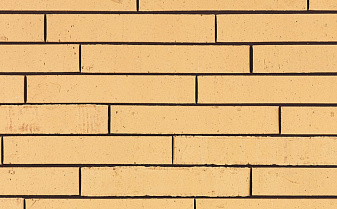Кирпич облицовочный Terca Archipolis Vegas Geel, 240*65*40 мм