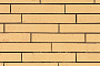 Кирпич облицовочный Terca Archipolis Vegas Geel, 240*65*40 мм