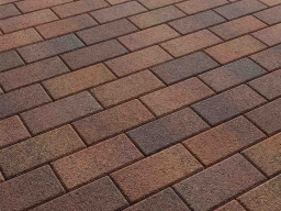 Плитка тротуарная Прямоугольник А.2.П.4 листопад гранит арабская ночь, 200*100*40 мм