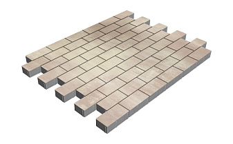 Плитка тротуарная SteinRus Прямоугольник Б.6.П.6, гладкая, Оливин, 200*100*60 мм