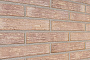 Кирпич облицовочный Plinfa Cassia 1305, 300*85*50 мм