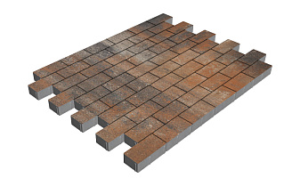 Плитка тротуарная SteinRus Прямоугольник Б.6.П.6, гладкая, Рей, 200*100*60 мм