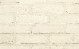 Кирпич облицовочный Terca Duifwit, 188*88*48 мм