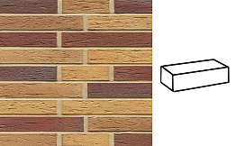 Кирпич клинкерный Muhr 19 Rubinbeige nuanciert гладкий, 290*90*40 мм