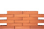 Кирпич клинкерный Plinfa Iron 2319, 270*85*50 мм