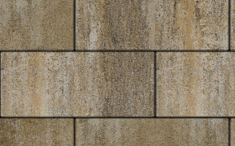 Плитка тротуарная Прямоугольник Б.5.П.6 Искусственный камень Степняк 600*300*60 мм