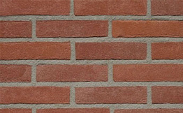 Кирпич облицовочный Terca Rood Hardgrauw Vormbak, 210*100*50 мм