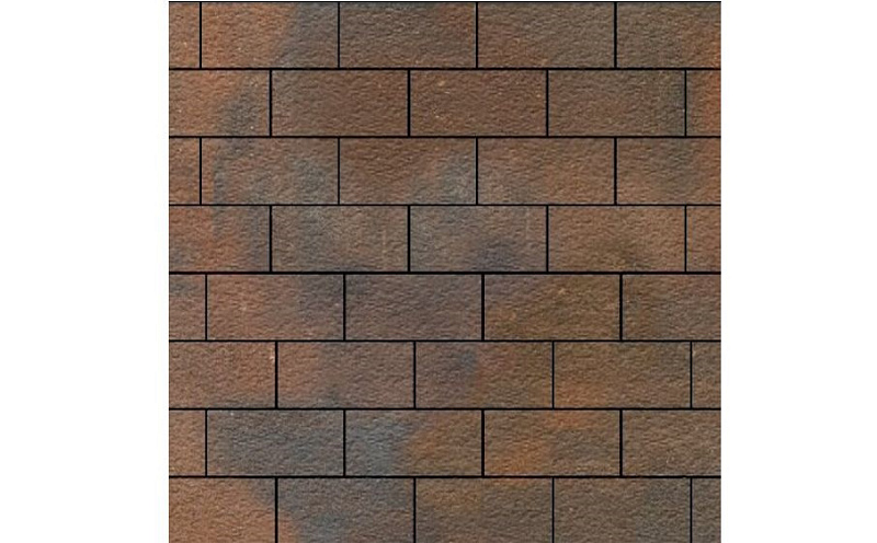 Плитка тротуарная SteinRus Прямоугольник Б.6.П.6, Old-age, ColorMix Штайнрус, 200*100*60 мм
