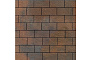 Плитка тротуарная SteinRus Прямоугольник Б.6.П.6, Old-age, ColorMix Штайнрус, 200*100*60 мм