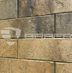Кирпич BRAER PRO 3.03, 250*120*65 мм