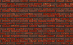 Плитка Nelissen RODRUZA Alems Bont, 215*65*20 мм
