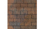 Плитка тротуарная SteinRus Прямоугольник Лайн В.6.П.8 Native, ColorMix Штайнрус, 200*100*80 мм