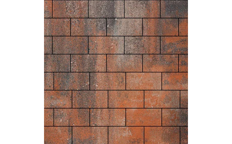 Плитка тротуарная SteinRus Прямоугольник В.6.П.8 гладкая, ColorMix Рей, 200*100*80 мм