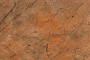 Хризотилцементная панель Nova facade  S-114, 3000*1200*8 мм