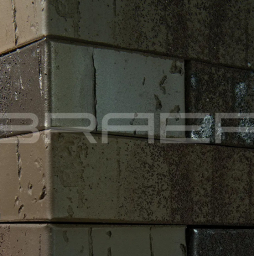 Кирпич BRAER PRO 78.09, 250*120*65 мм