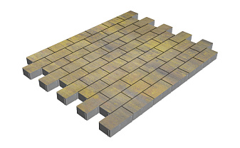 Плитка тротуарная SteinRus Прямоугольник Б.6.П.6, гладкая, Бромо, 200*100*60 мм