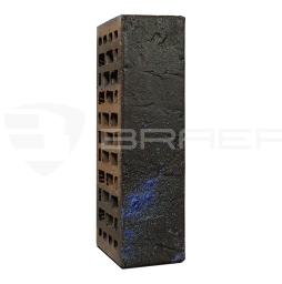 Кирпич BRAER PRO 1.03, 250*120*65 мм