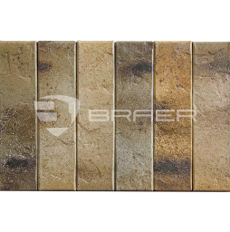 Кирпич BRAER PRO 3.03, 250*120*65 мм