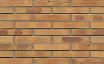Кирпич клинкерный Muhr 06K Hellbraun-bunt Kohle гладкий, 290*60*52 мм