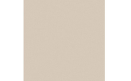 Керамогранит Estima Rainbow RW01, неполированный 600*600*10 мм