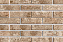 Клинкерная плитка под кирпич BestPoint Exclusive Hard Stone 245*65*8,5 мм