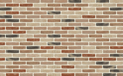 Кирпич облицовочный Nelissen Hoevesteen T15, 215*50*65 мм