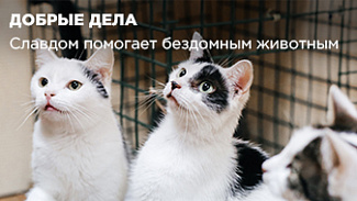 Больше добрых дел: Славдом помог трём приютам для бездомных животных