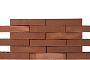 Кирпич клинкерный Plinfa Iron 2313, 270*85*50 мм
