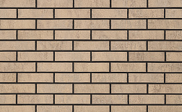 Кирпич облицовочный ТМ Kerma Premium Орк 250*120*65 мм