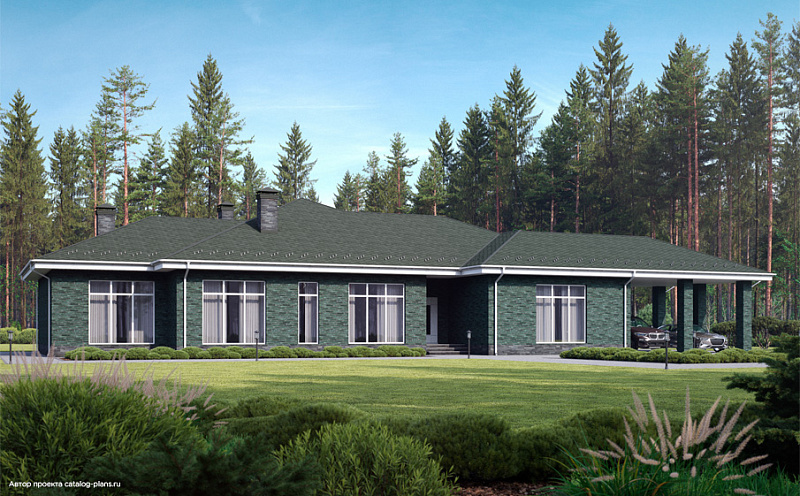 Кирпич облицовочный Plinfa Cassia 1613, 300*85*50 мм