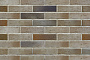 Кирпич BRAER PRO 14.04.1, 250*120*65 мм