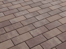 Плитка тротуарная Прямоугольник А.2.П.4 листопад гладкий хаски, 200*100*40 мм