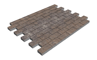 Плитка тротуарная SteinRus Прямоугольник А.6.П.4, гладкая, Сепия, 200*100*40 мм