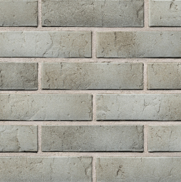 Кирпич BRAER PRO 72.03, 250*85*65 мм