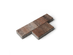 Плитка тротуарная Прямоугольник Б.2.П.6 листопад гранит клен, 200*100*60 мм