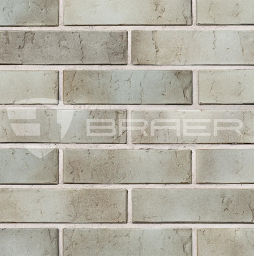 Кирпич BRAER PRO 72.03 с утолщенной стенкой, 250*120*65 мм