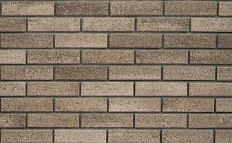 Кирпич облицовочный Выбор 1Л150.1900.F100 Элит Хаски, 250*120*65 мм