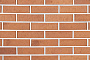 Кирпич клинкерный ТМ Kerma Premium Klinker красный риф 250*120*65 мм