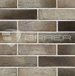 Кирпич BRAER PRO 14.04.1 с утолщенной стенкой, 250*120*65 мм