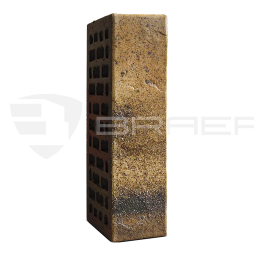 Кирпич BRAER PRO 3.03, 250*120*65 мм