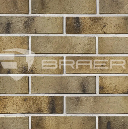 Кирпич BRAER PRO 3.03, 250*120*65 мм
