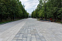 Плитка тротуарная Прямоугольник Б.5.П.6 стоунмикс черный, 600*300*60 мм