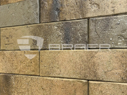 Кирпич BRAER PRO 3.03, 250*120*65 мм — подберём и рассчитаем бесплатно