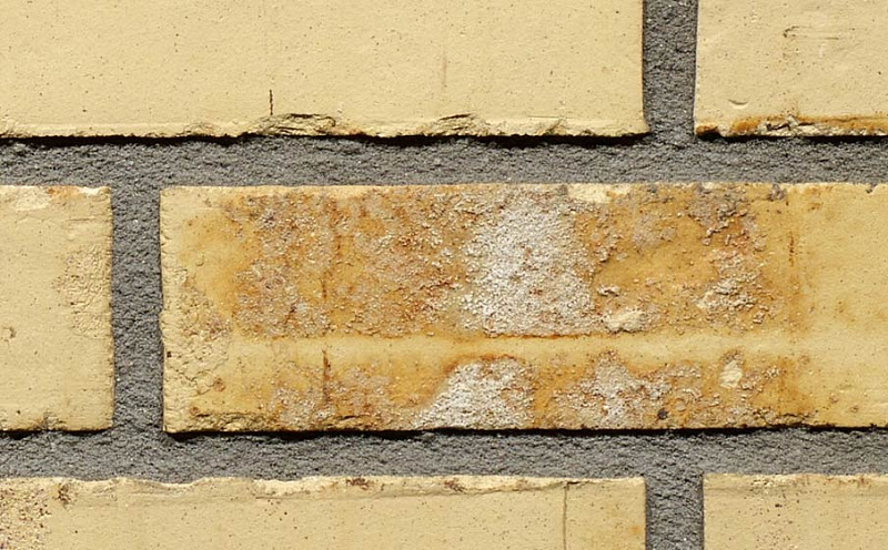 Кирпич облицовочный Terca Sussex Multi Gesinterd 210*100*50 мм