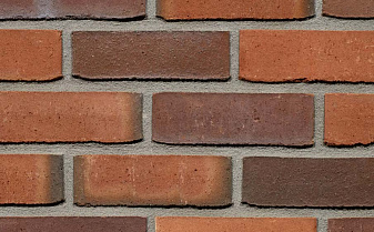 Кирпич облицовочный Terca Passiebloem, 215*102*65 мм